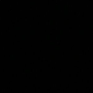 Meet your Posher, Trevor